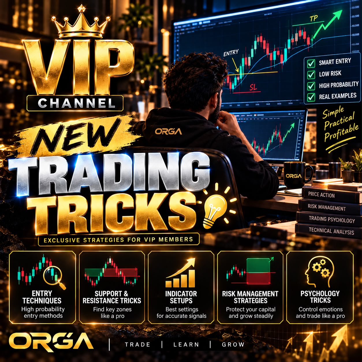 FX Orga Plan 6