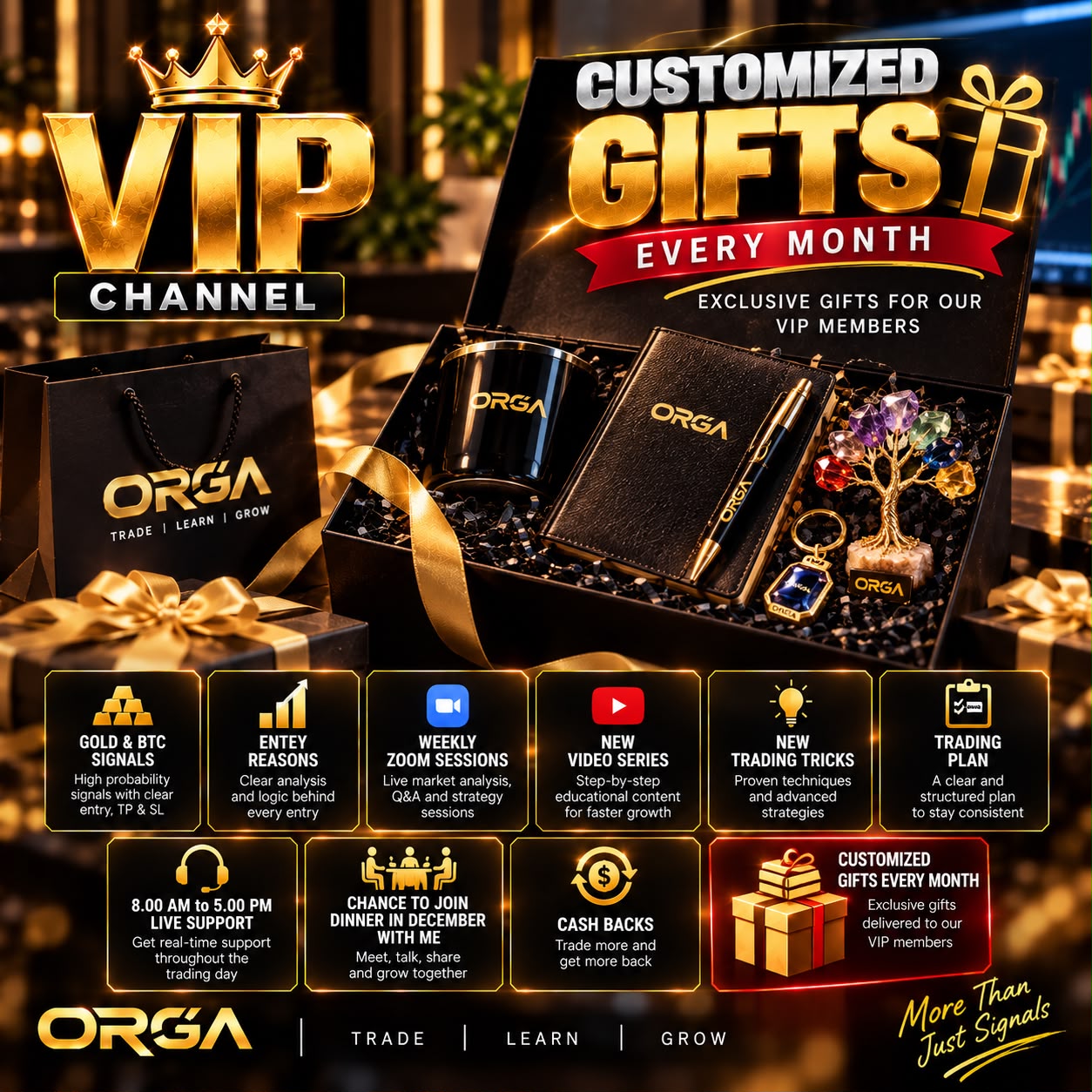 FX Orga Plan 11